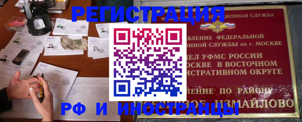 где прописаться в Коле